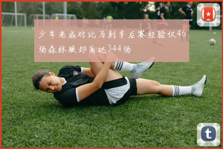 少年老成对比马刺季后赛经验仅46场森林狼却高达344场